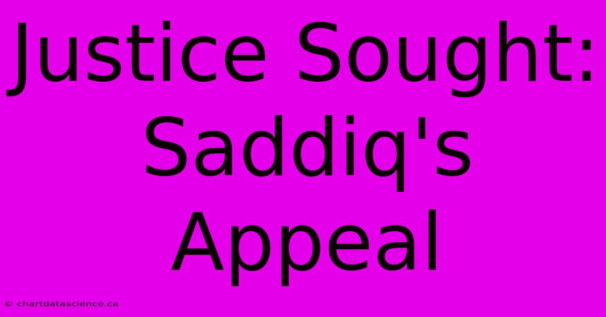 Justice Sought: Saddiq's Appeal