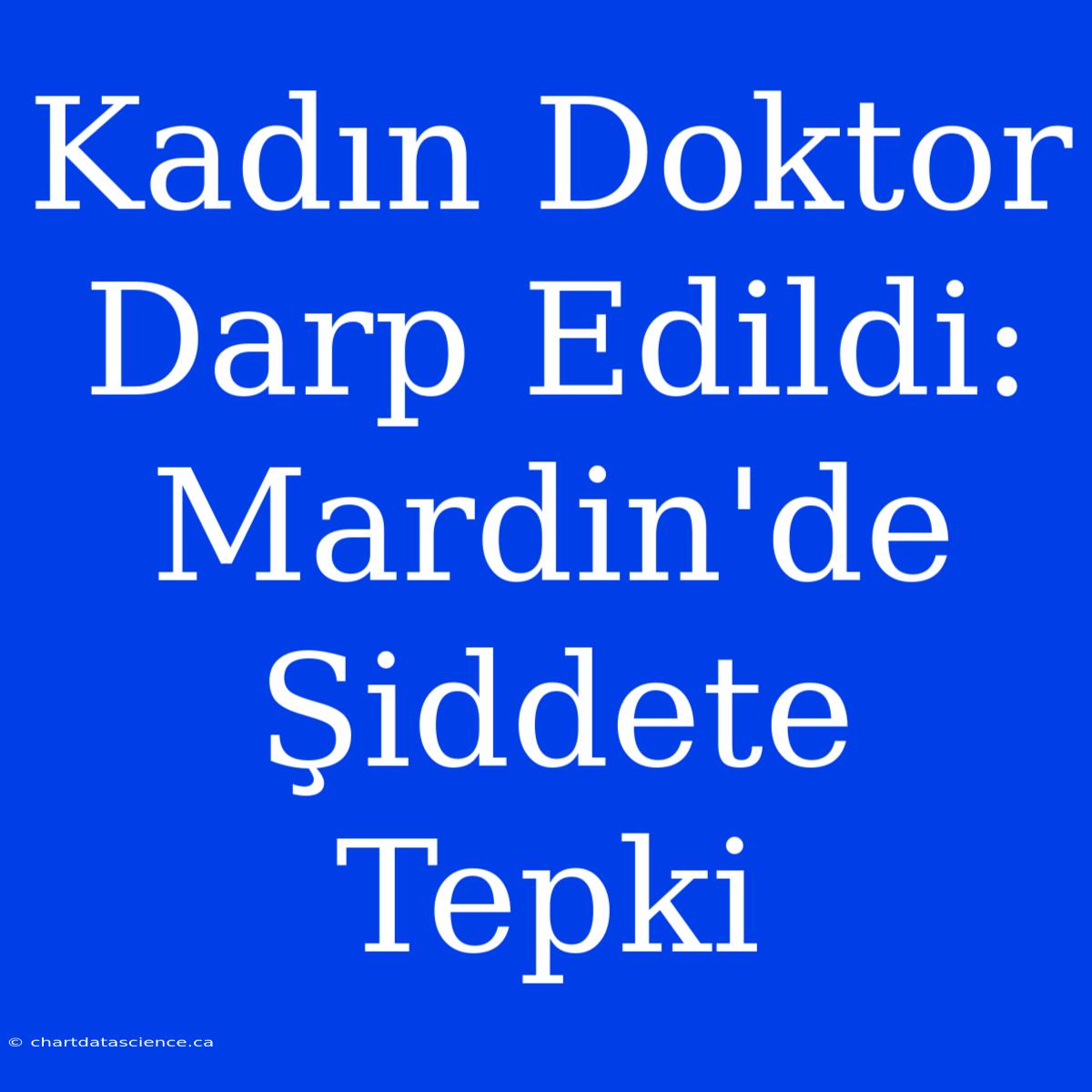 Kadın Doktor Darp Edildi: Mardin'de Şiddete Tepki