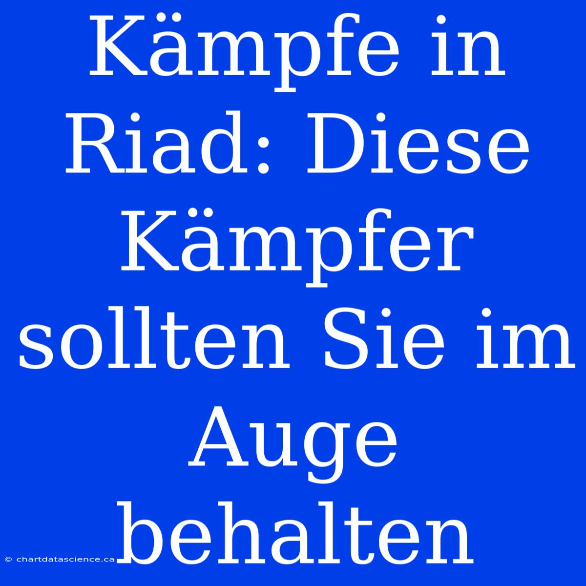 Kämpfe In Riad: Diese Kämpfer Sollten Sie Im Auge Behalten