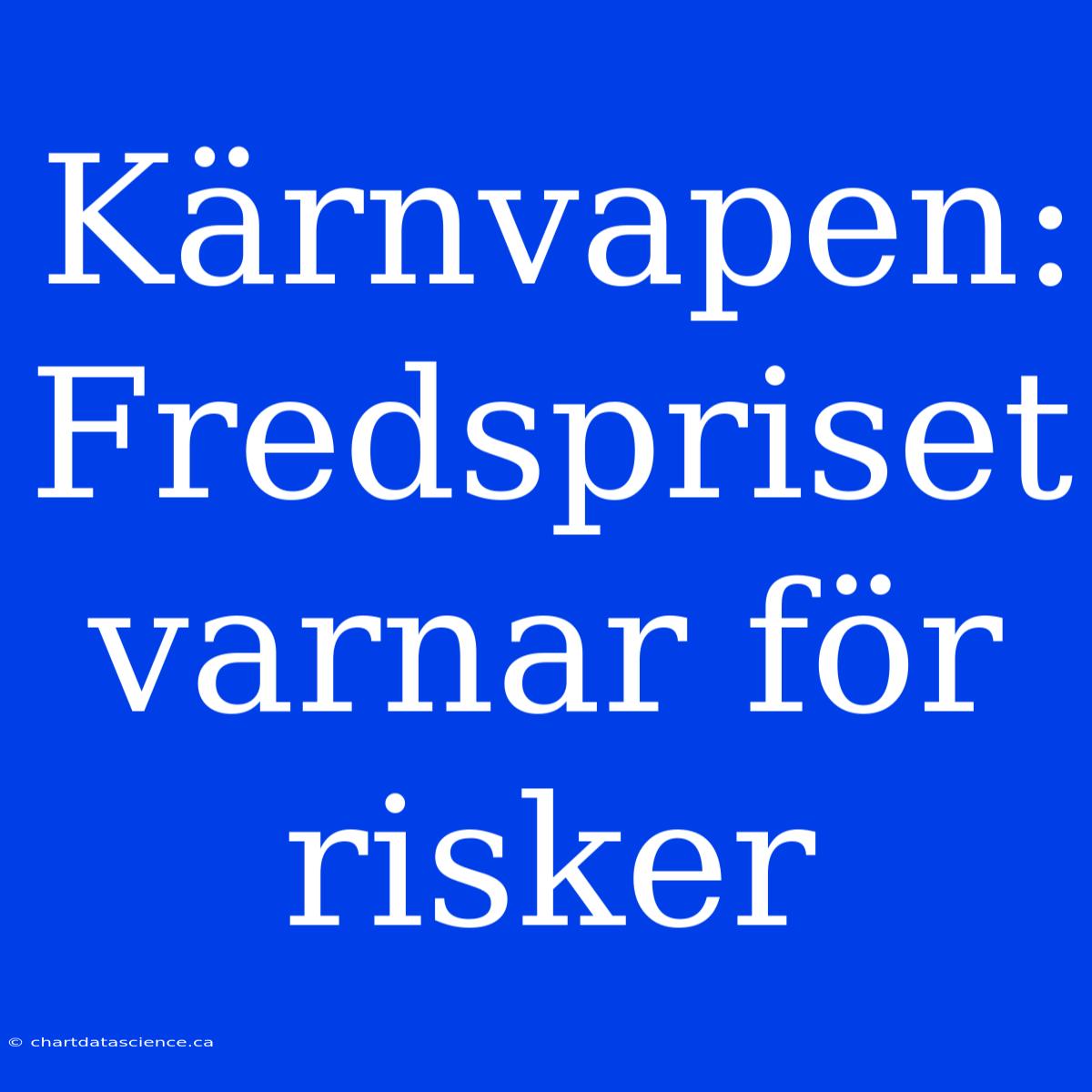 Kärnvapen: Fredspriset Varnar För Risker