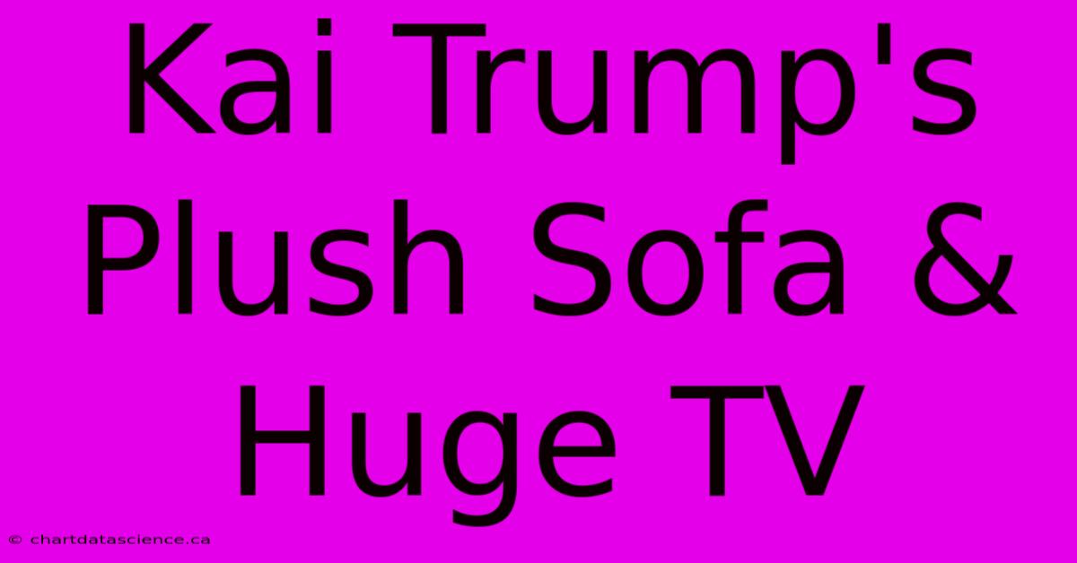 Kai Trump's Plush Sofa & Huge TV