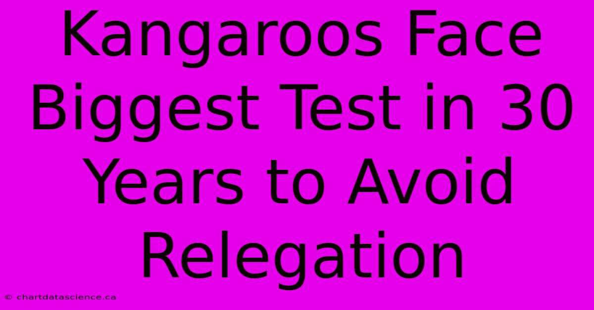 Kangaroos Face Biggest Test In 30 Years To Avoid Relegation