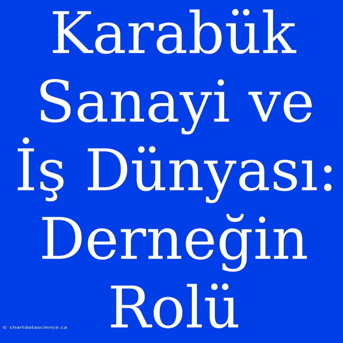 Karabük Sanayi Ve İş Dünyası: Derneğin Rolü