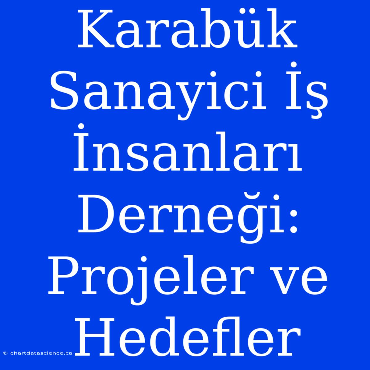 Karabük Sanayici İş İnsanları Derneği: Projeler Ve Hedefler