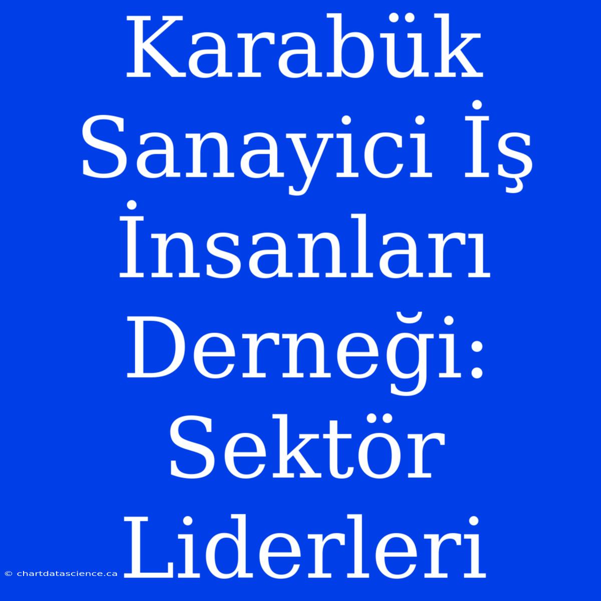 Karabük Sanayici İş İnsanları Derneği: Sektör Liderleri