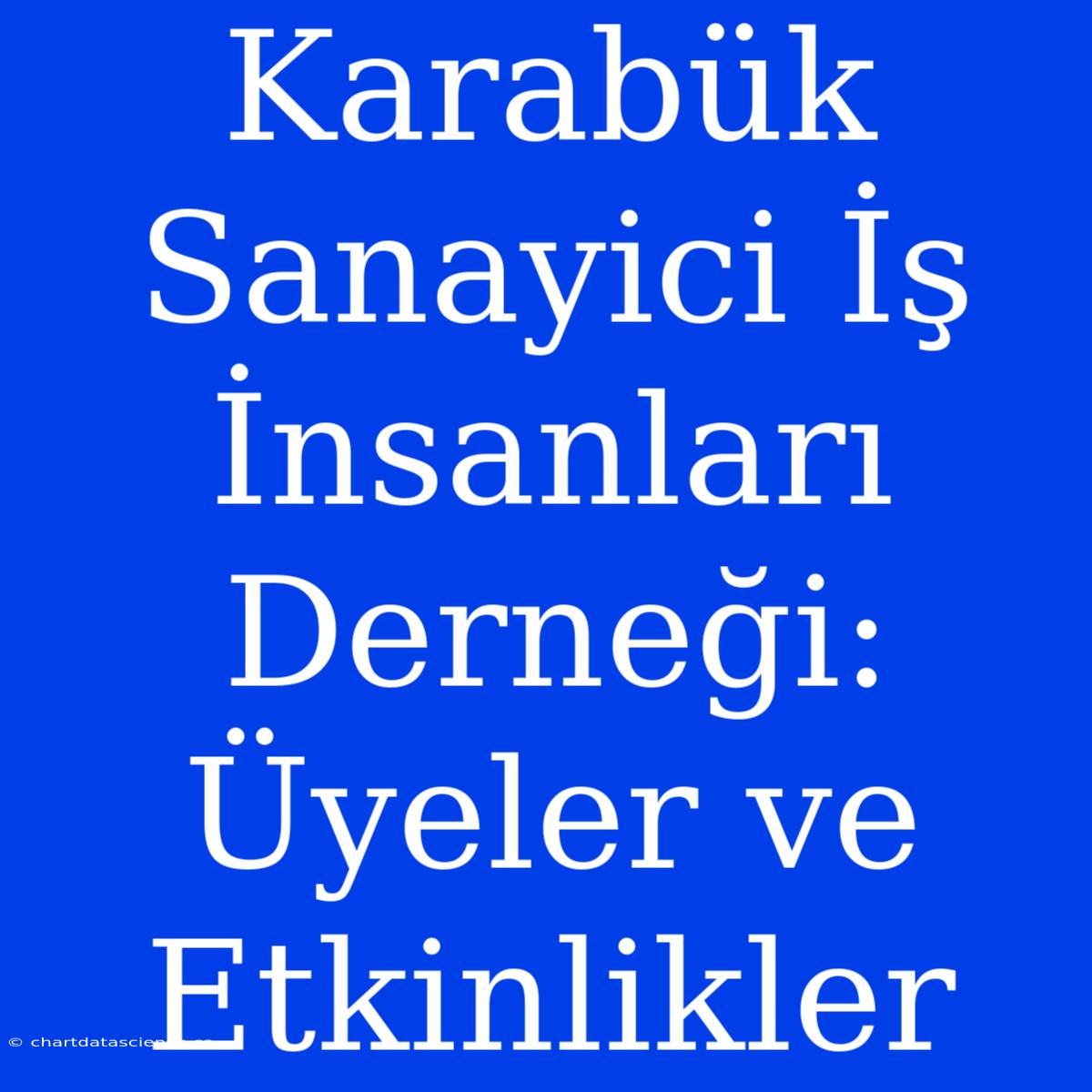 Karabük Sanayici İş İnsanları Derneği: Üyeler Ve Etkinlikler