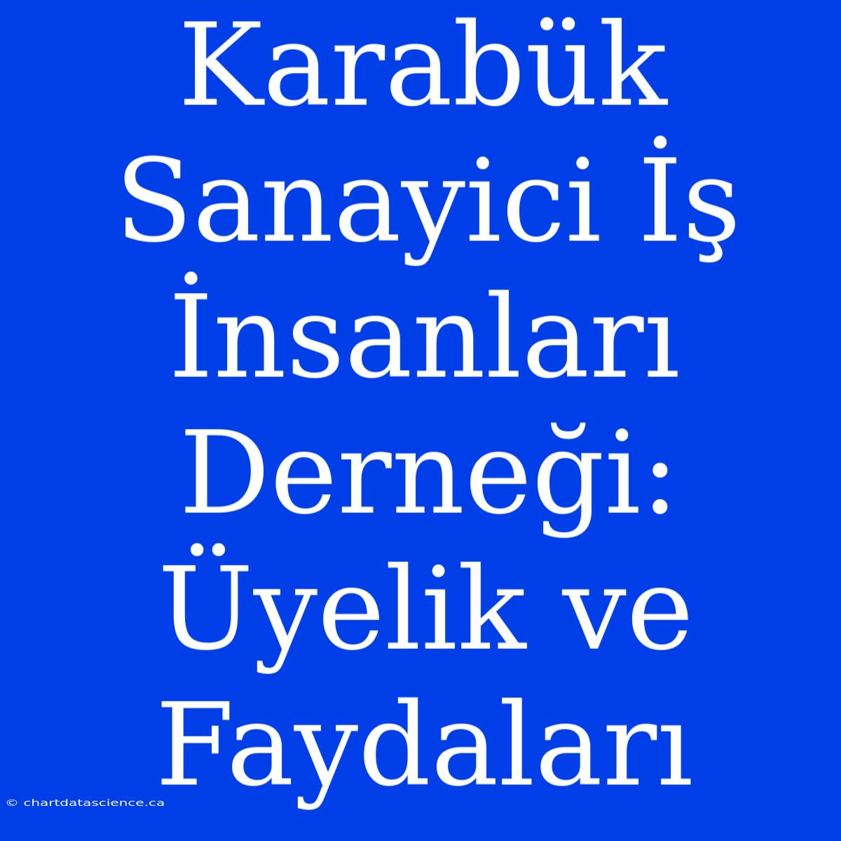 Karabük Sanayici İş İnsanları Derneği: Üyelik Ve Faydaları