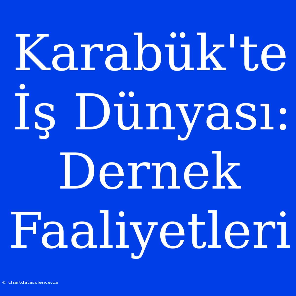 Karabük'te İş Dünyası: Dernek Faaliyetleri