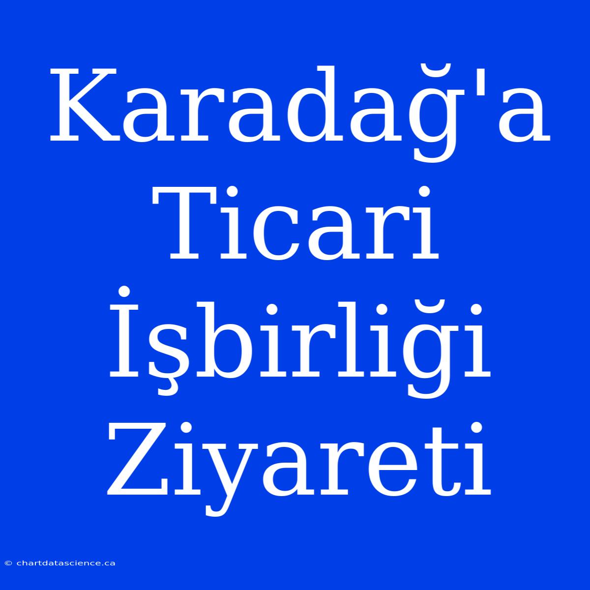 Karadağ'a Ticari İşbirliği Ziyareti