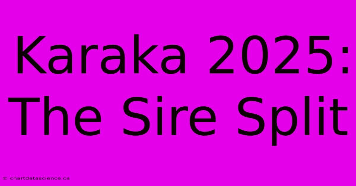 Karaka 2025: The Sire Split