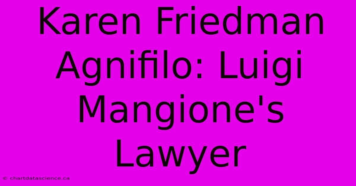 Karen Friedman Agnifilo: Luigi Mangione's Lawyer