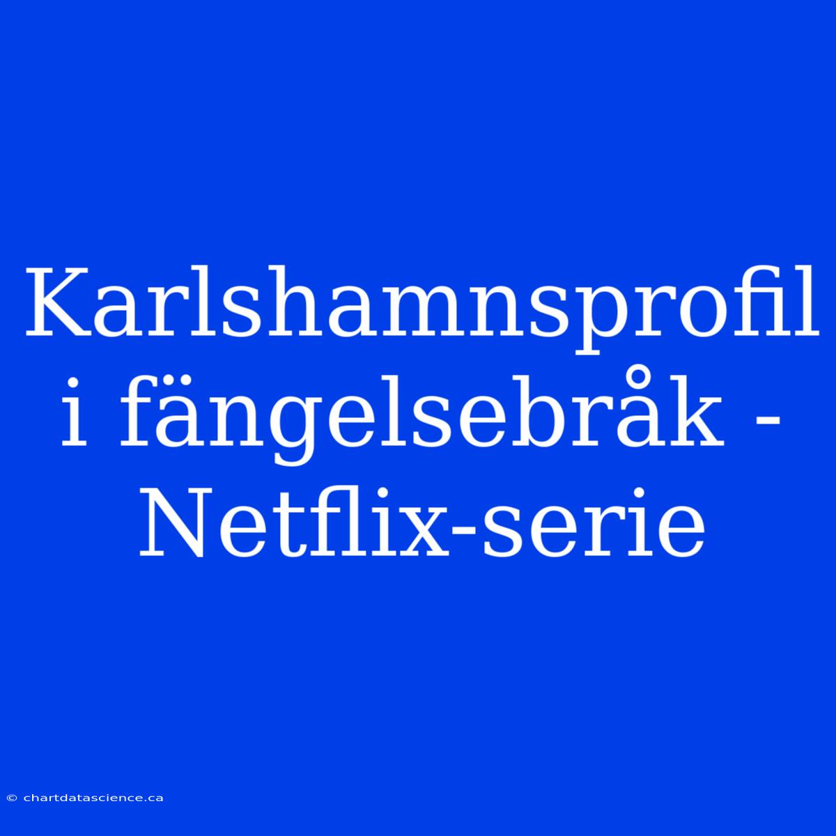 Karlshamnsprofil I Fängelsebråk - Netflix-serie