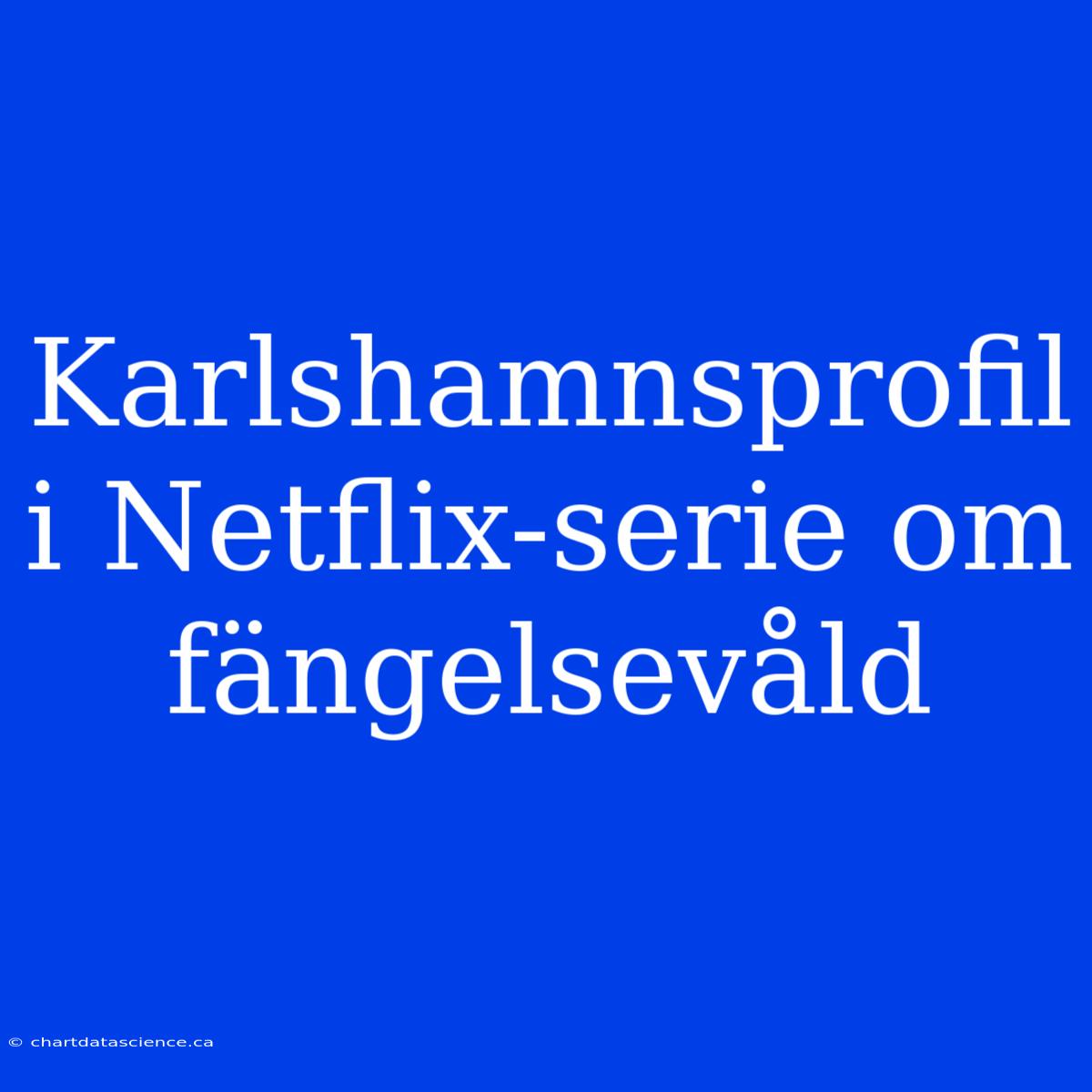 Karlshamnsprofil I Netflix-serie Om Fängelsevåld