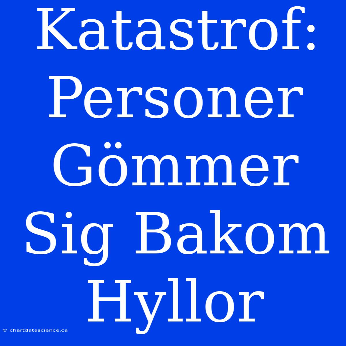 Katastrof: Personer Gömmer Sig Bakom Hyllor