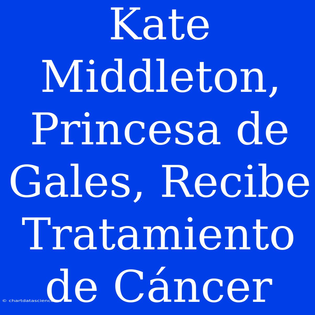 Kate Middleton, Princesa De Gales, Recibe Tratamiento De Cáncer