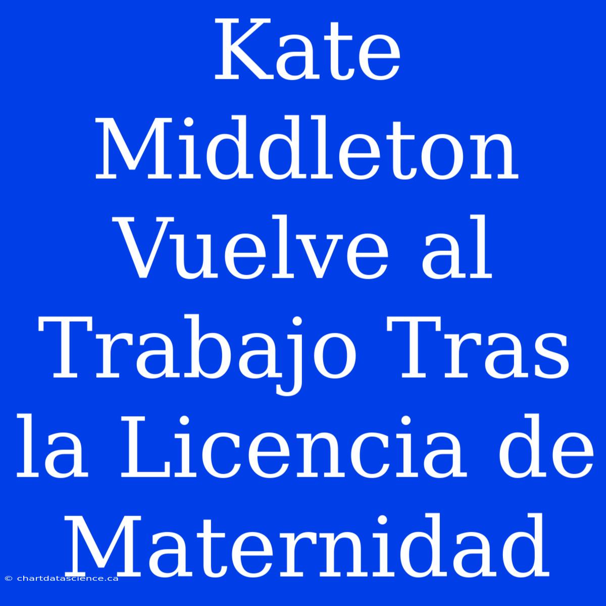 Kate Middleton Vuelve Al Trabajo Tras La Licencia De Maternidad