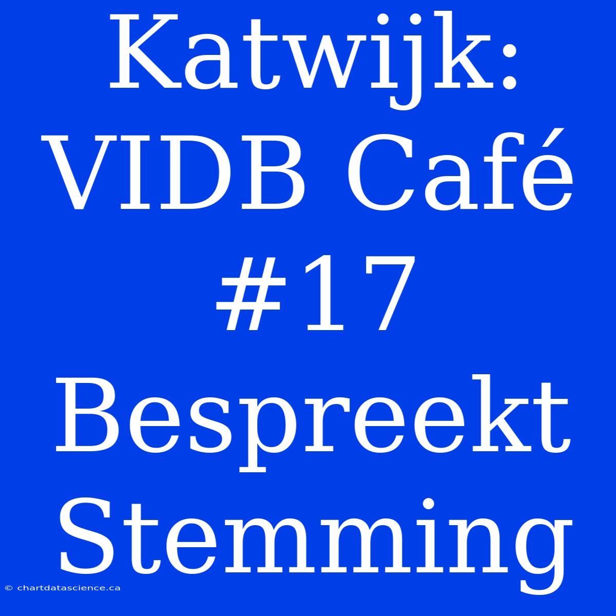 Katwijk: VIDB Café #17 Bespreekt Stemming