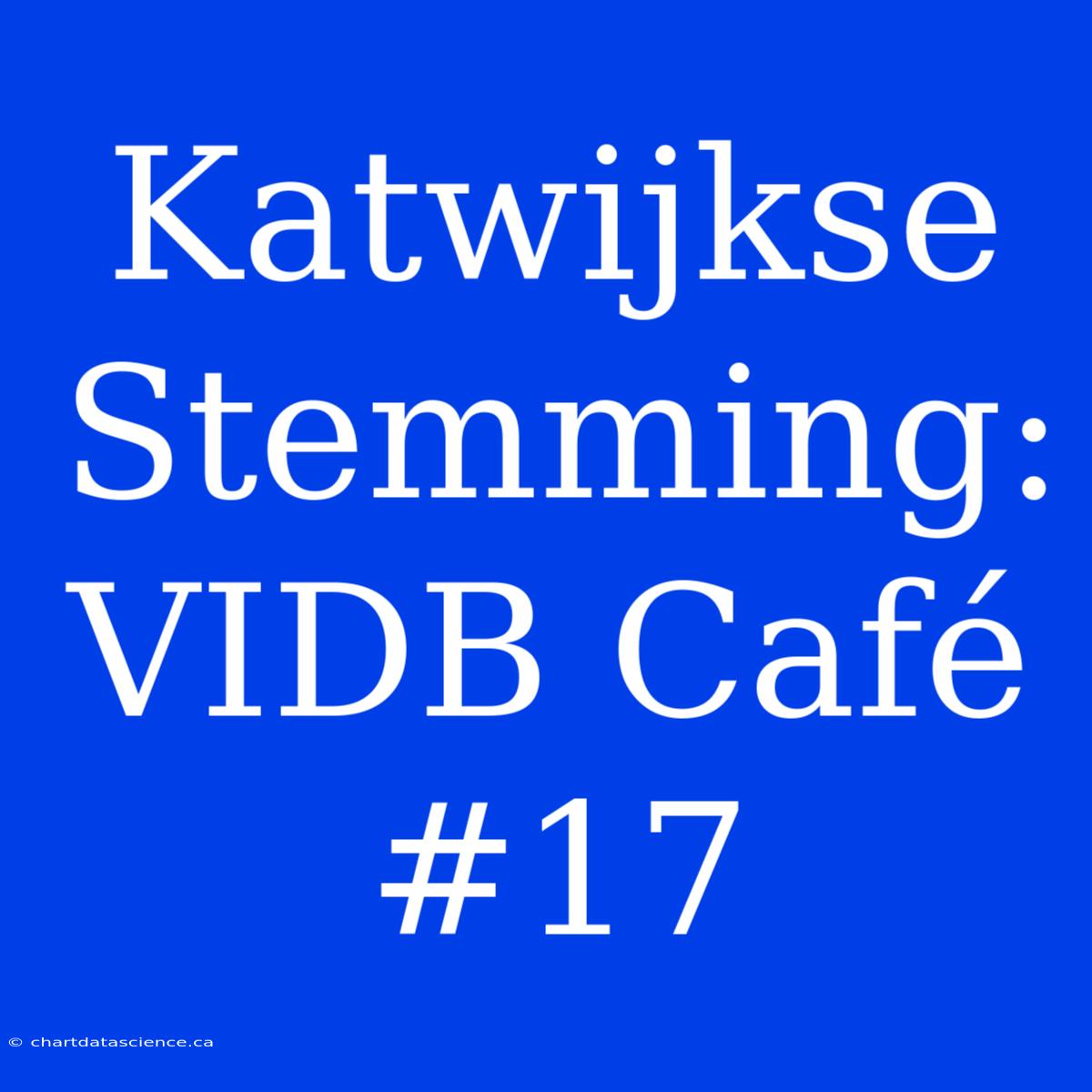 Katwijkse Stemming: VIDB Café #17