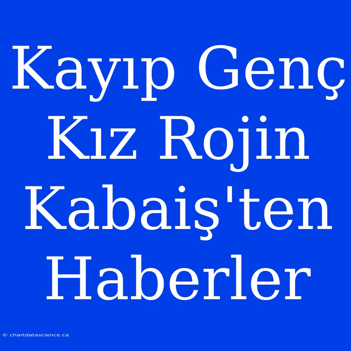 Kayıp Genç Kız Rojin Kabaiş'ten Haberler