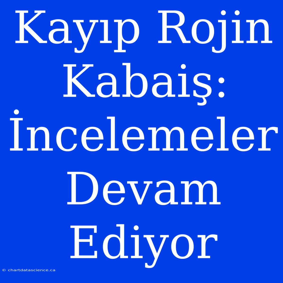 Kayıp Rojin Kabaiş: İncelemeler Devam Ediyor