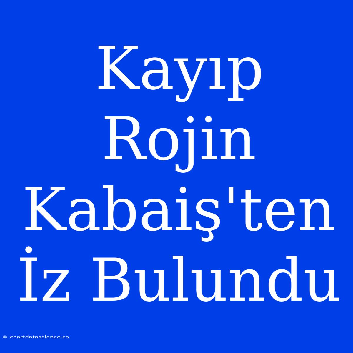 Kayıp Rojin Kabaiş'ten İz Bulundu