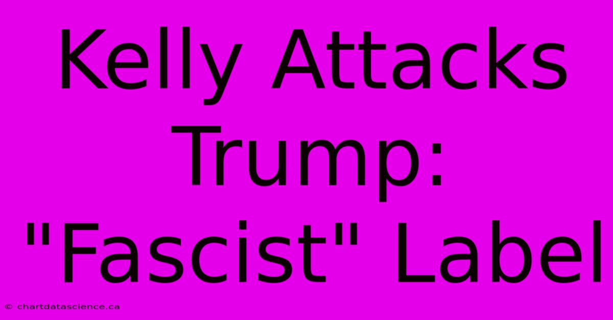 Kelly Attacks Trump: 