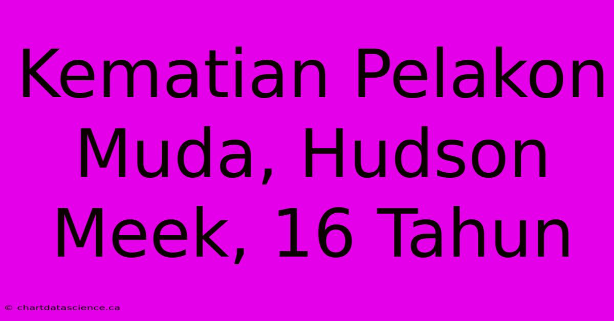 Kematian Pelakon Muda, Hudson Meek, 16 Tahun