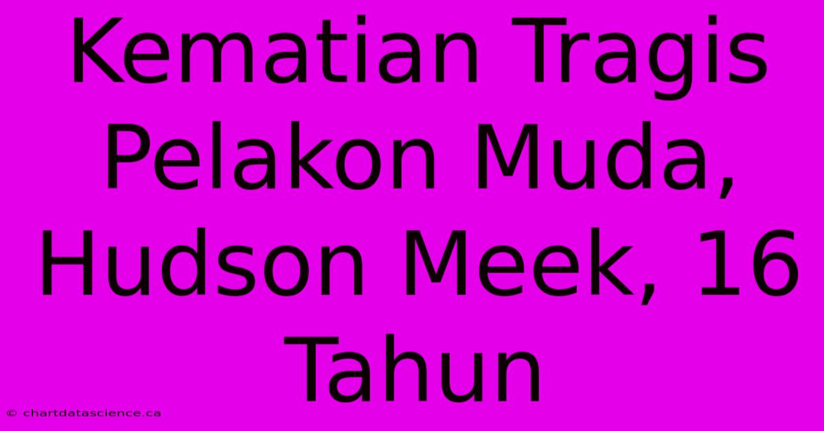 Kematian Tragis Pelakon Muda, Hudson Meek, 16 Tahun