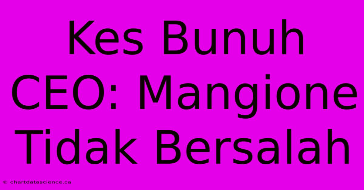 Kes Bunuh CEO: Mangione Tidak Bersalah