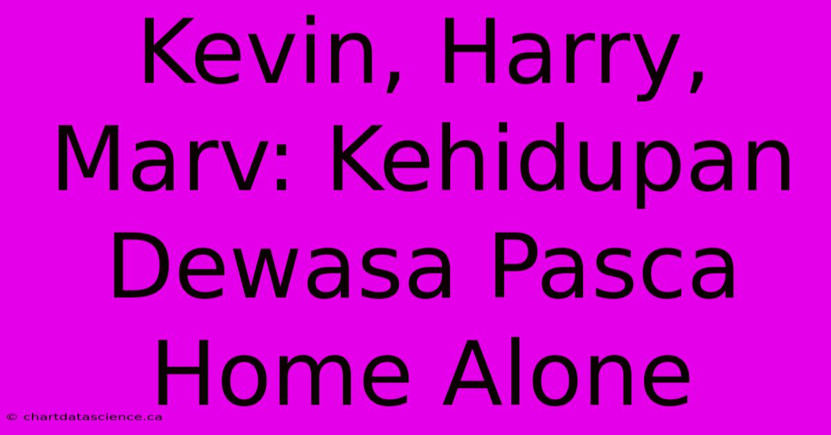 Kevin, Harry, Marv: Kehidupan Dewasa Pasca Home Alone