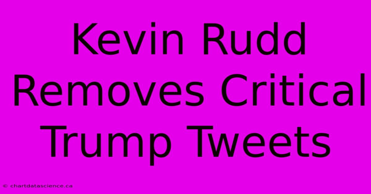 Kevin Rudd Removes Critical Trump Tweets 