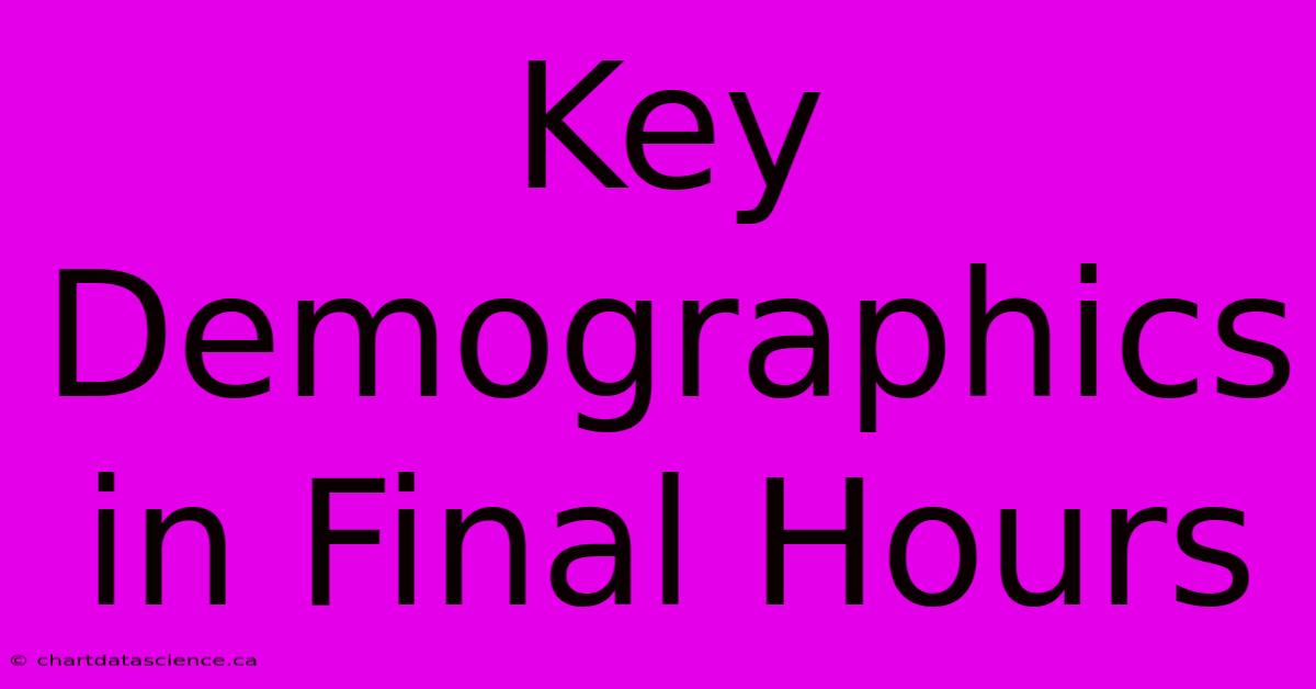 Key Demographics In Final Hours