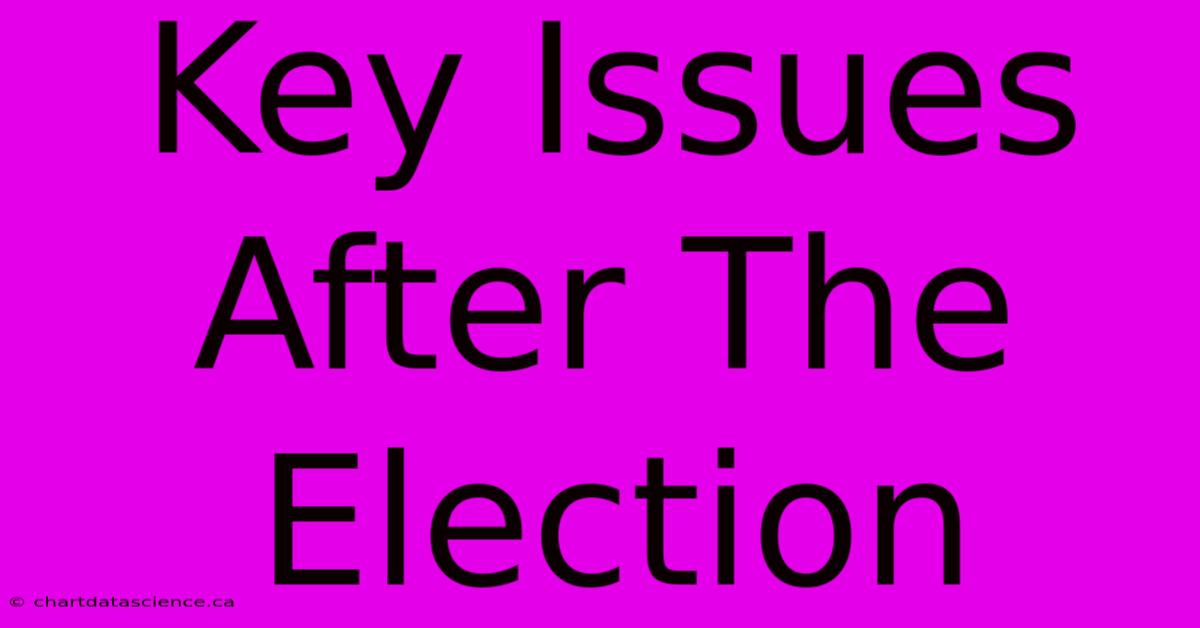 Key Issues After The Election