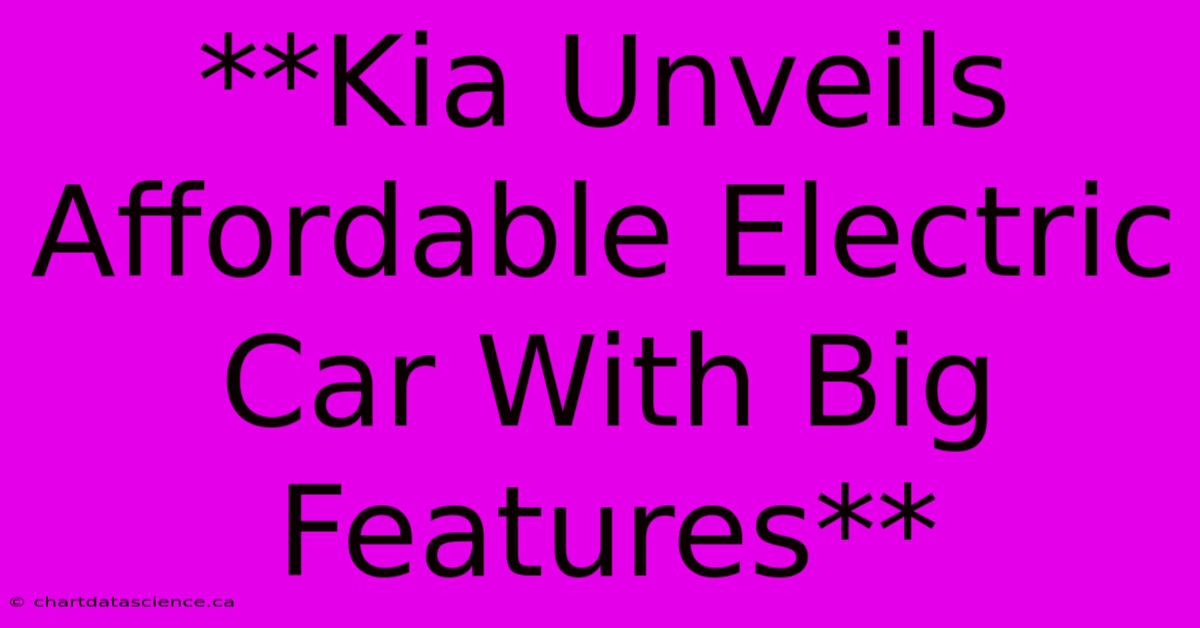 **Kia Unveils Affordable Electric Car With Big Features**