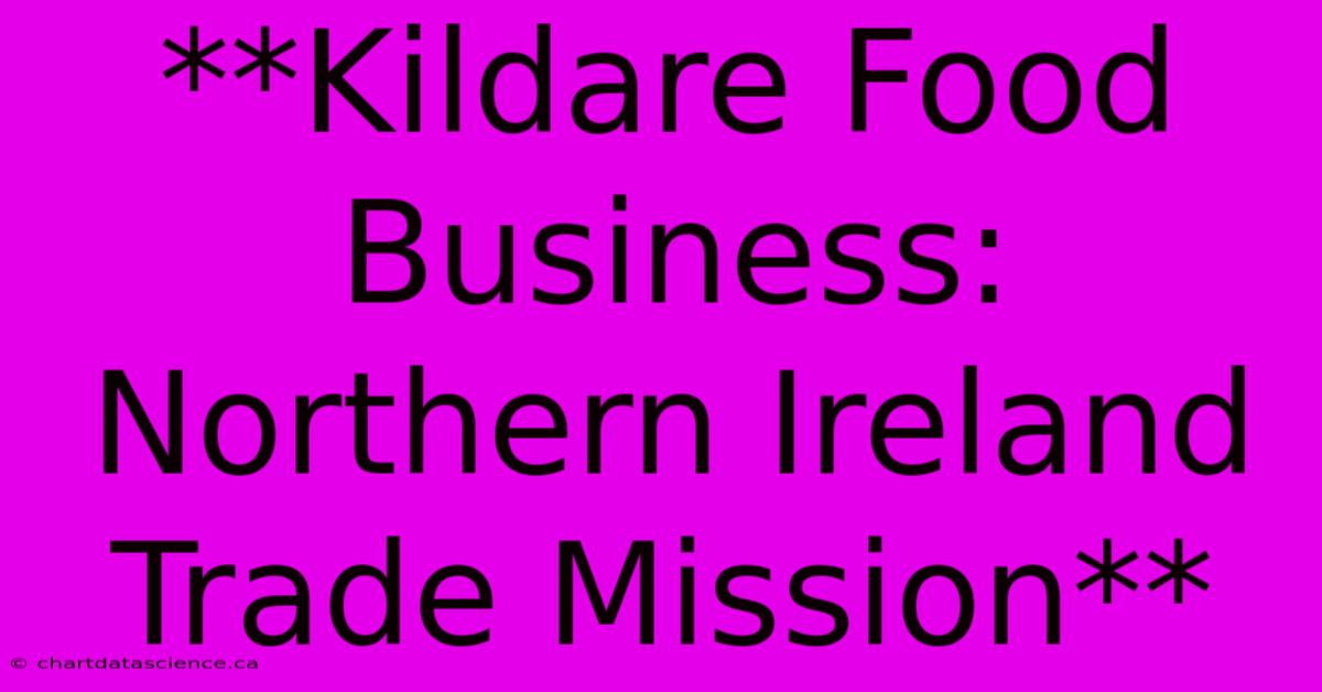 **Kildare Food Business: Northern Ireland Trade Mission** 