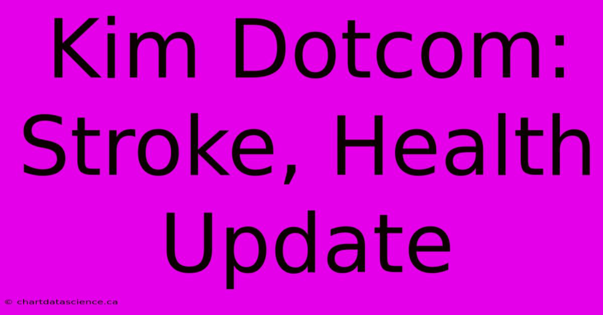 Kim Dotcom: Stroke, Health Update