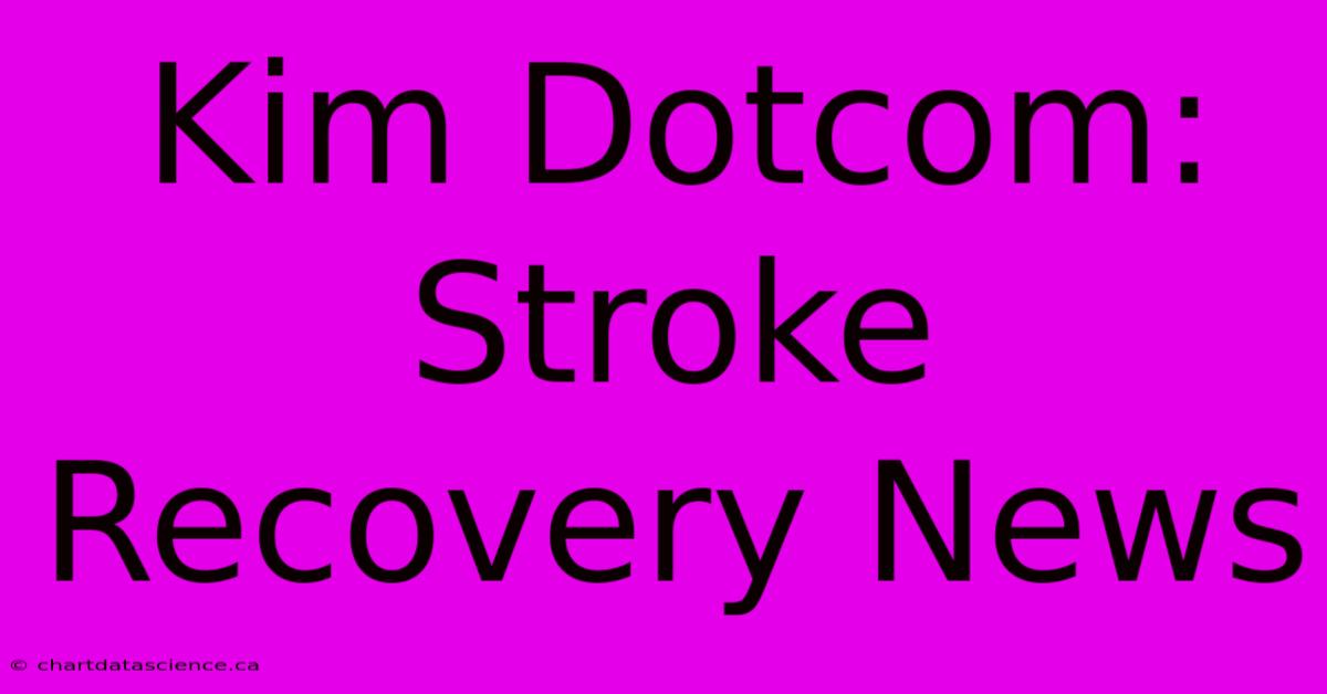 Kim Dotcom: Stroke Recovery News