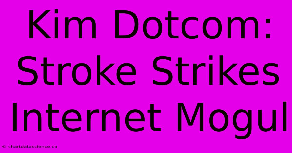 Kim Dotcom: Stroke Strikes Internet Mogul