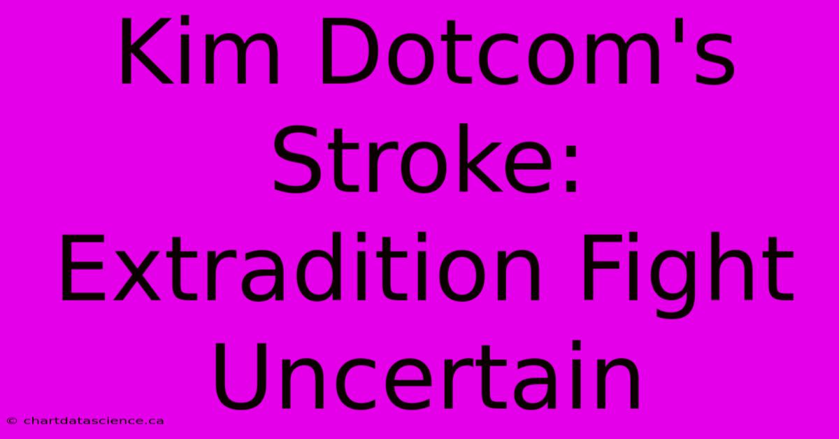 Kim Dotcom's Stroke: Extradition Fight Uncertain