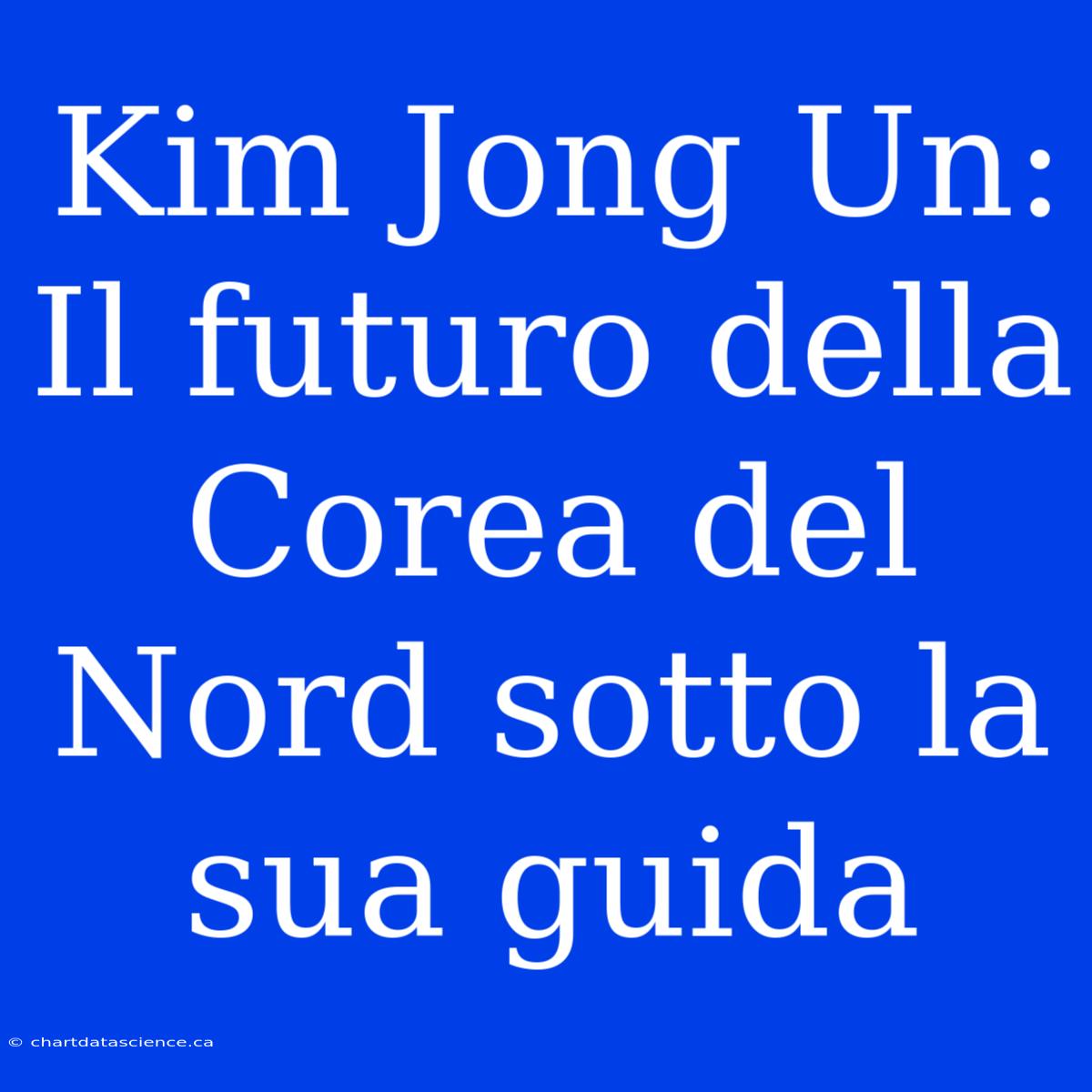 Kim Jong Un: Il Futuro Della Corea Del Nord Sotto La Sua Guida