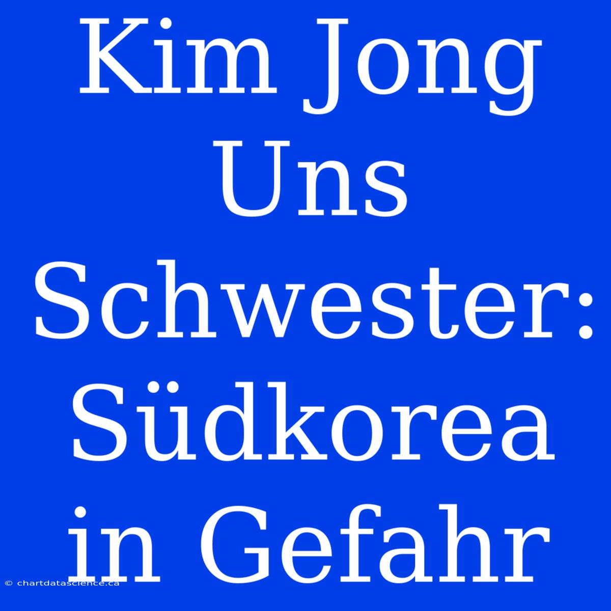 Kim Jong Uns Schwester: Südkorea In Gefahr