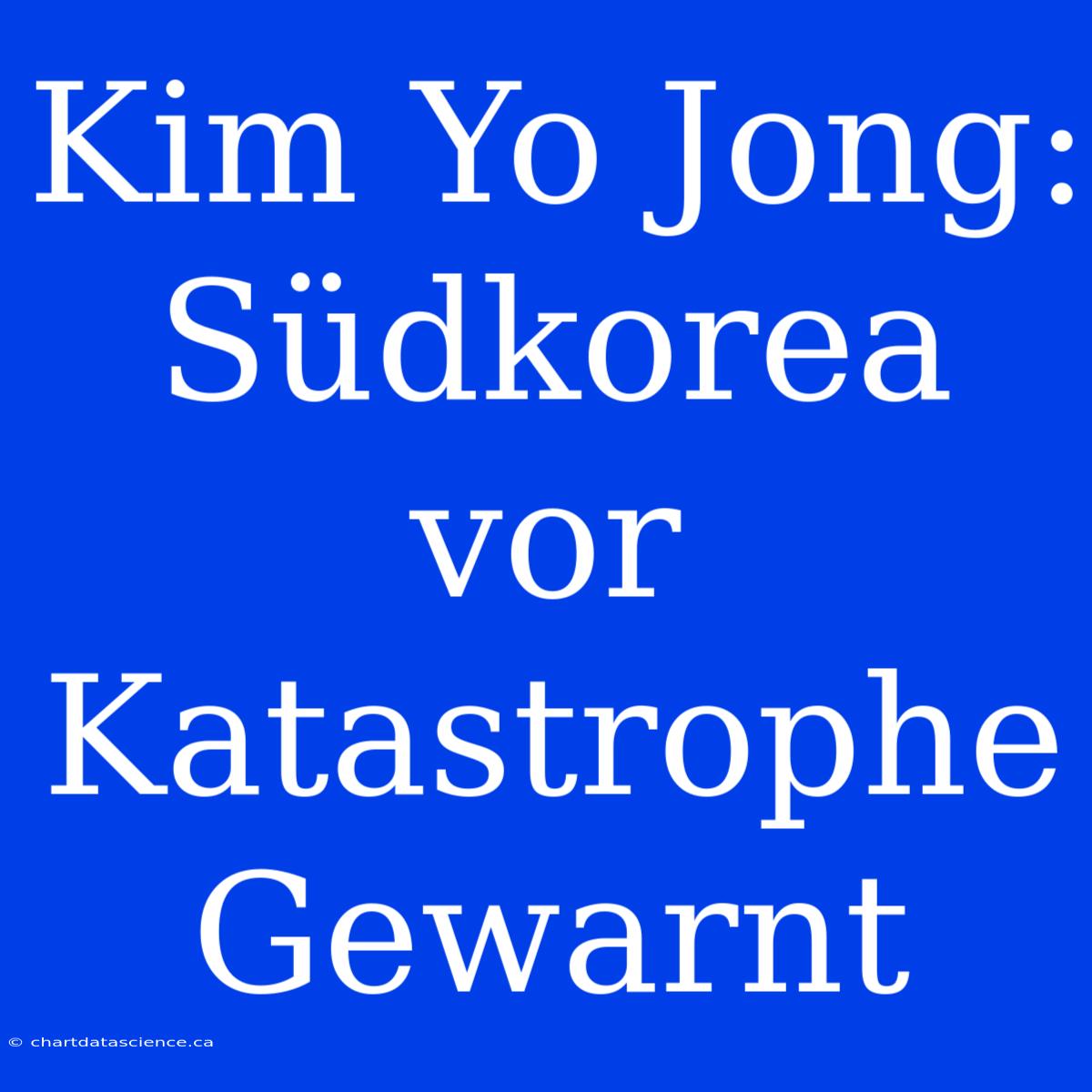 Kim Yo Jong: Südkorea Vor Katastrophe Gewarnt