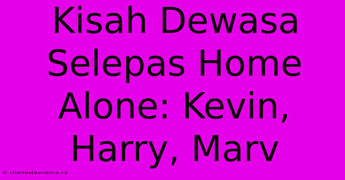 Kisah Dewasa Selepas Home Alone: Kevin, Harry, Marv