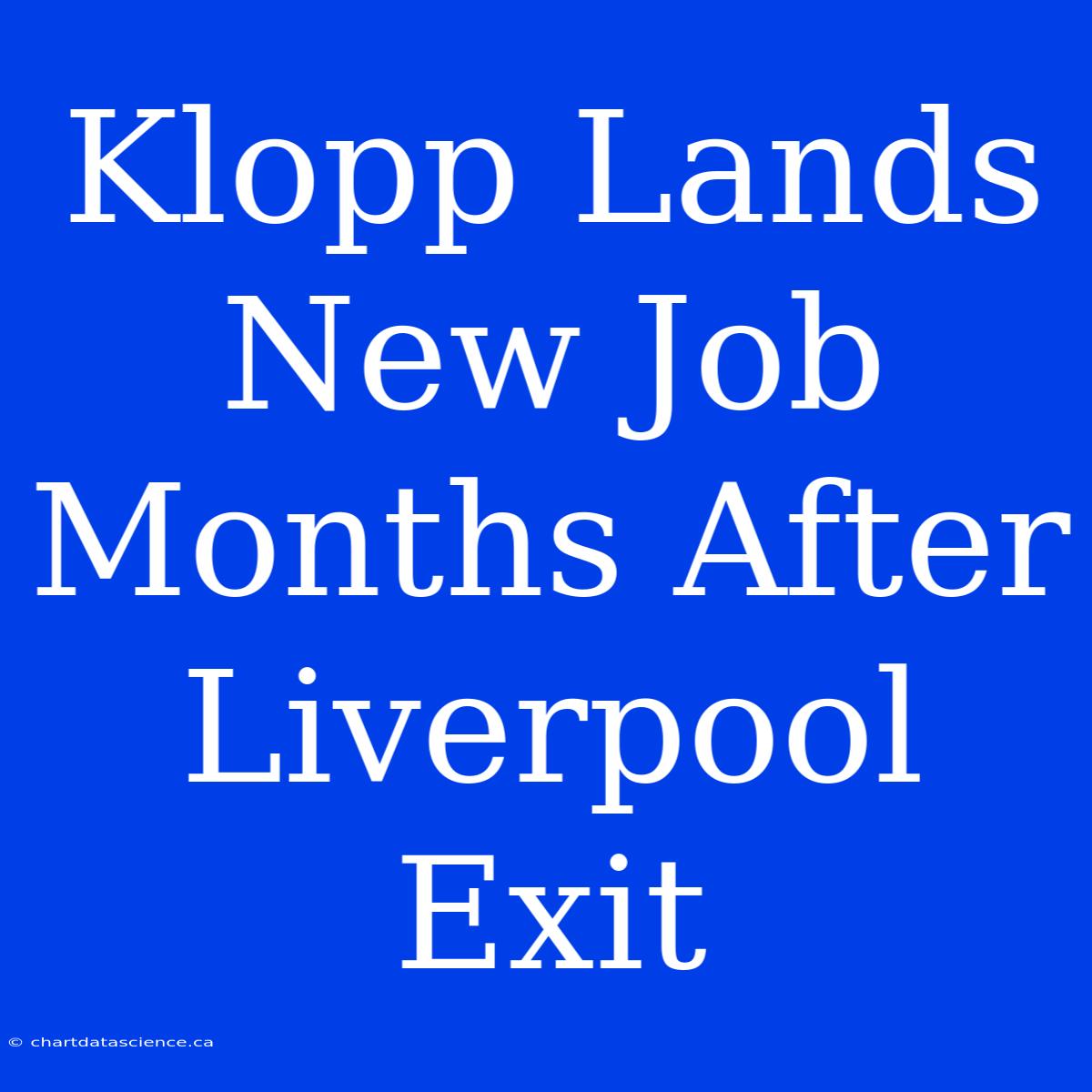 Klopp Lands New Job Months After Liverpool Exit