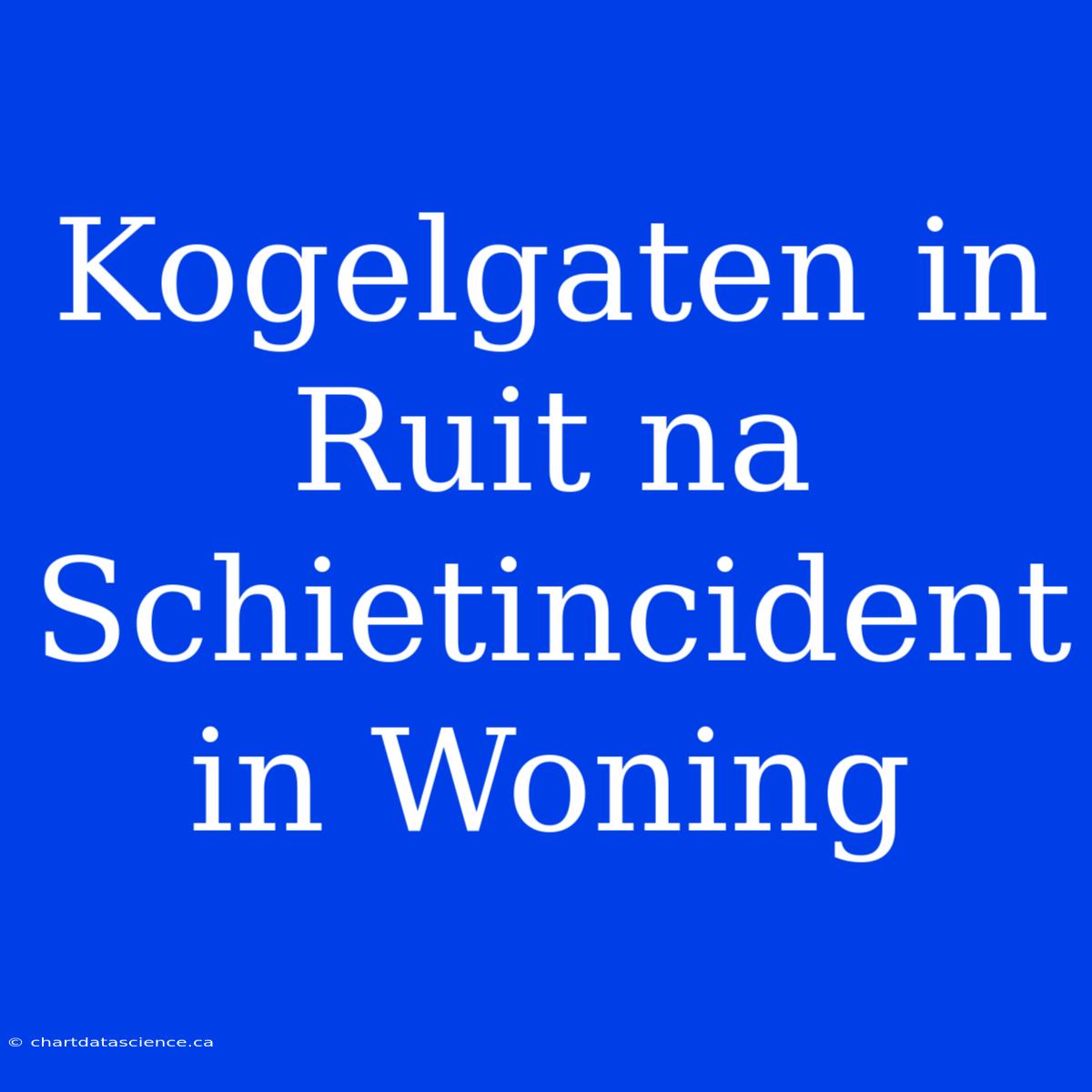 Kogelgaten In Ruit Na Schietincident In Woning