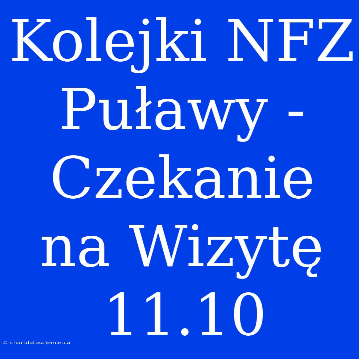 Kolejki NFZ Puławy - Czekanie Na Wizytę 11.10