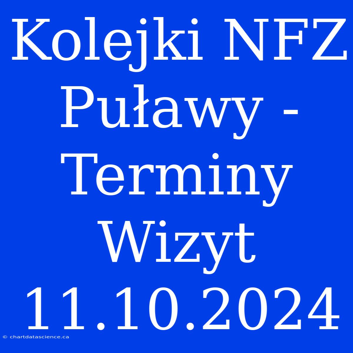 Kolejki NFZ Puławy - Terminy Wizyt 11.10.2024