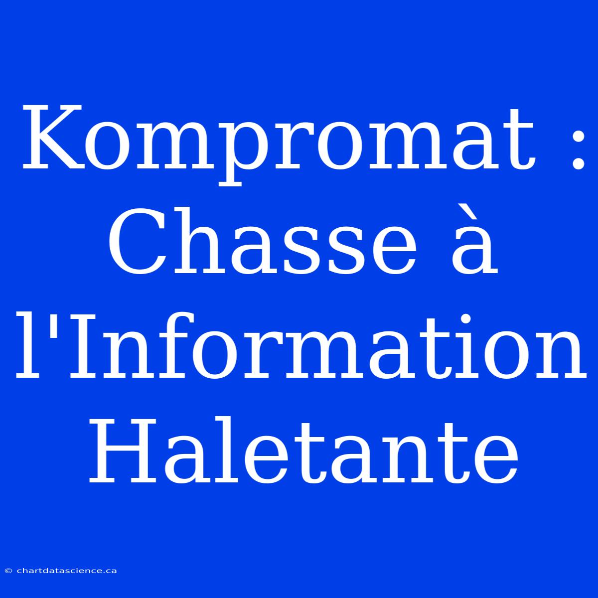 Kompromat : Chasse À L'Information Haletante