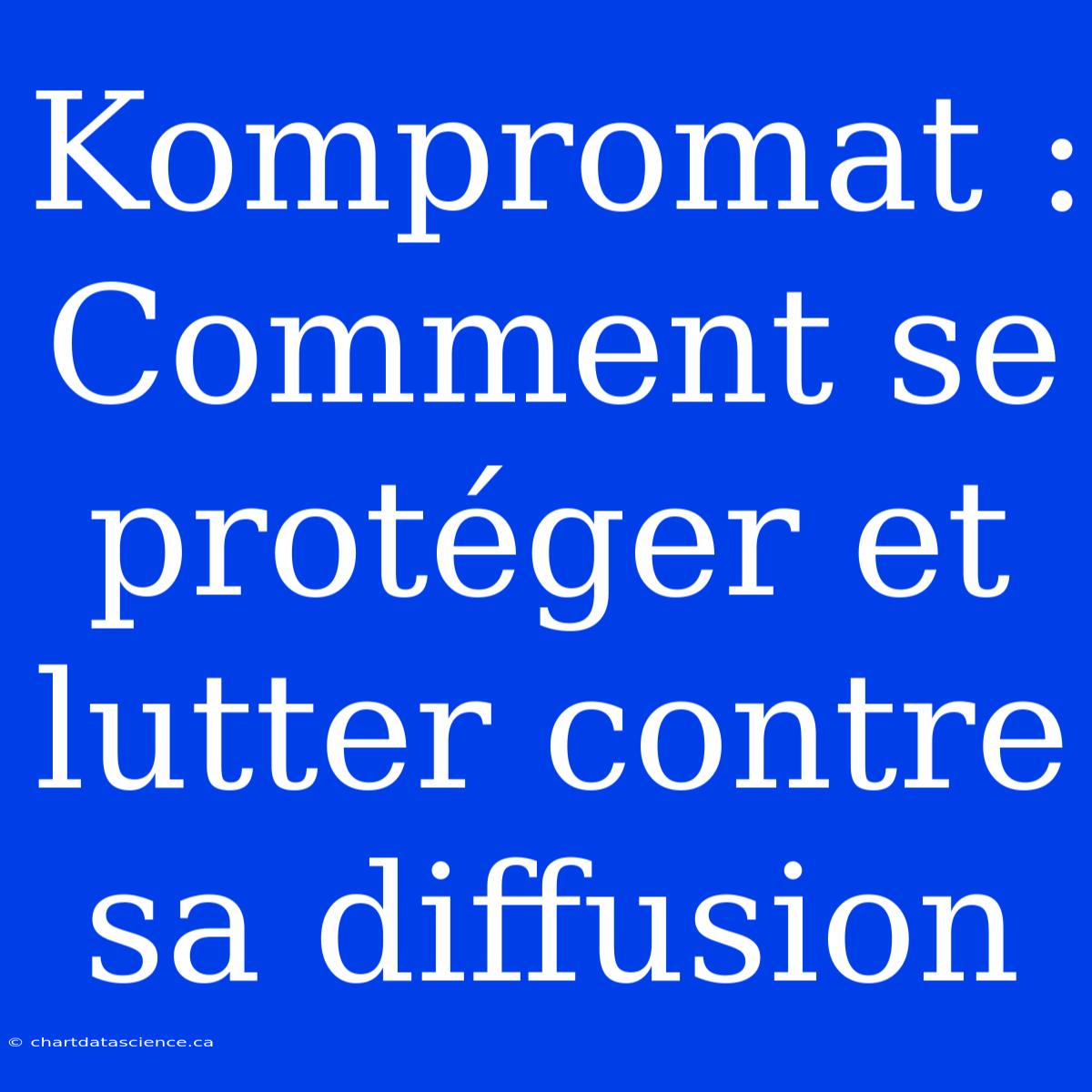 Kompromat : Comment Se Protéger Et Lutter Contre Sa Diffusion