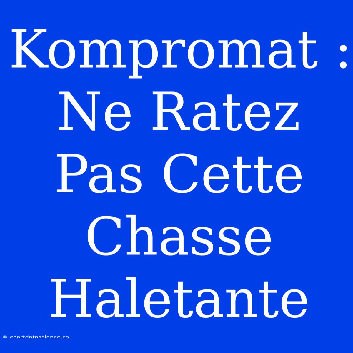 Kompromat : Ne Ratez Pas Cette Chasse Haletante